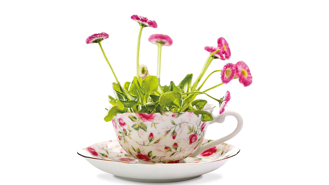 DIY Frühlings-Blumen in der Tasse 