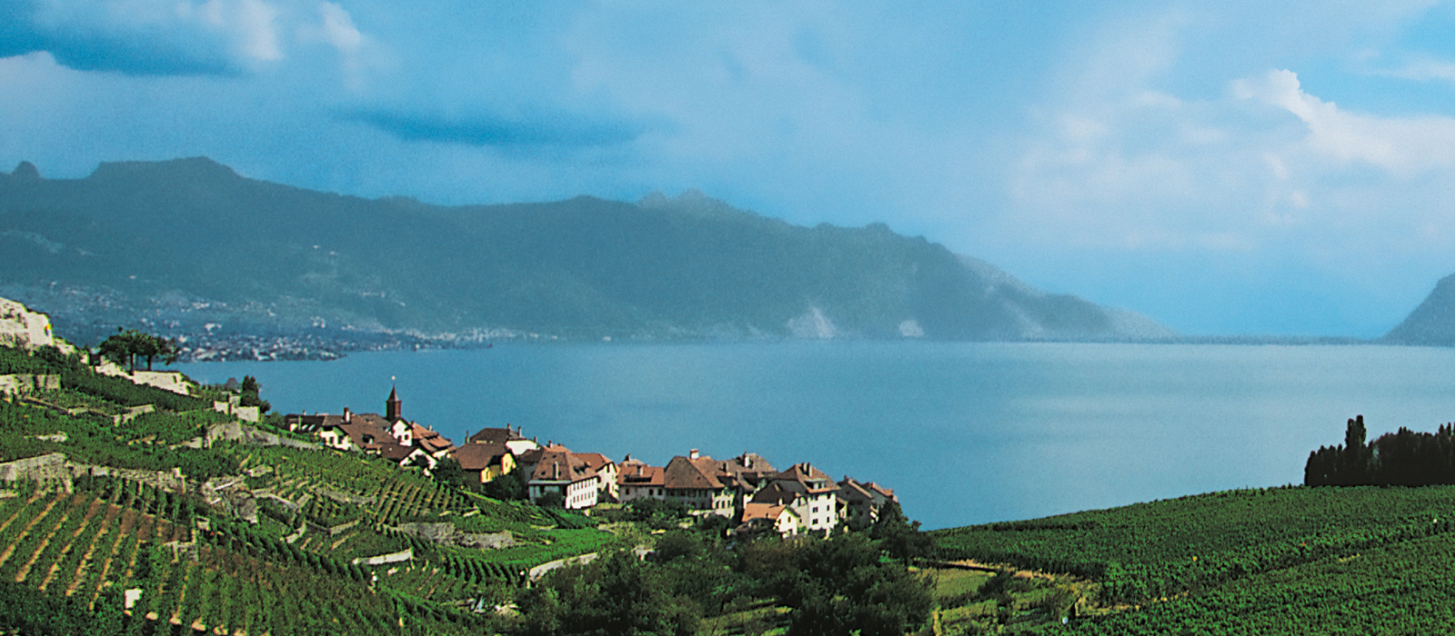 La Tomme Vaudoise Genfer See La Tomme Vaudoise Genfer See