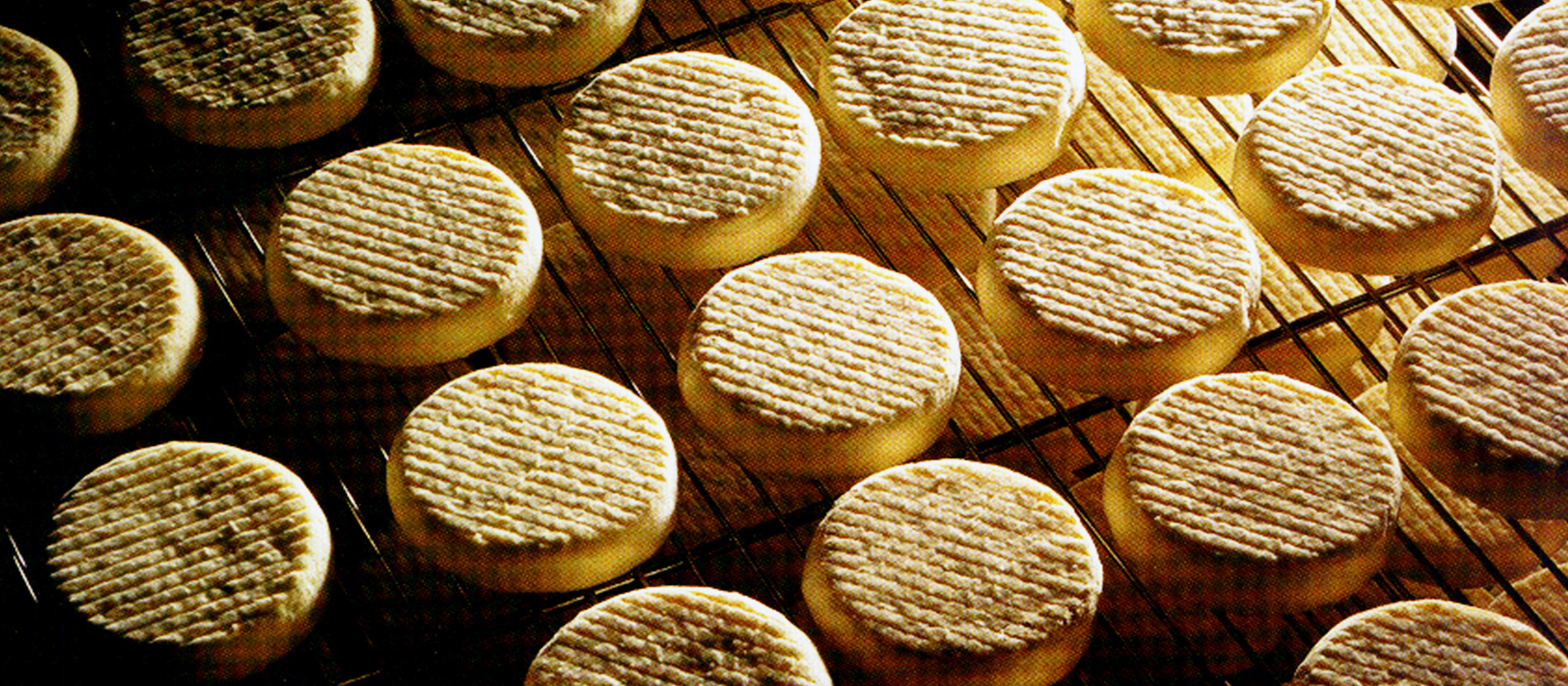 Tomme Vaudoise Reifung Tomme Vaudoise Reifung