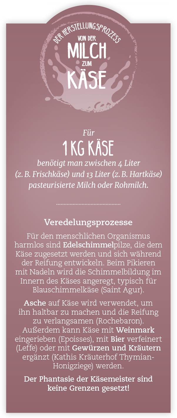 Käse Herstellungsprozess Käse Herstellungsprozess