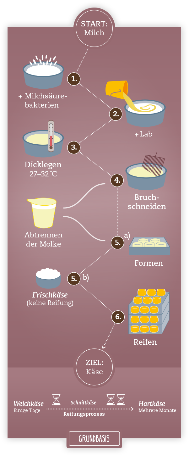 So wird Käse hergestellt So wird Käse hergestellt