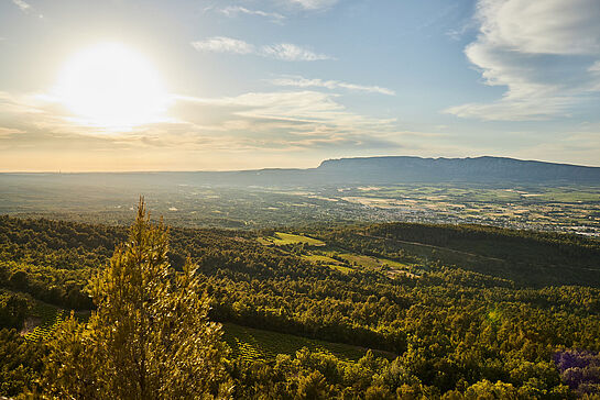 BRESSO und die Sonne der Provence