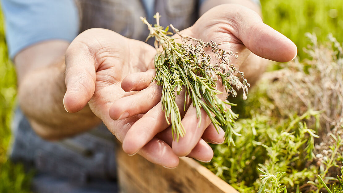 BRESSO, so schmeckt die echte Provence