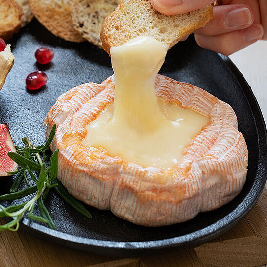 Leckerer Ofenkäse mit Saint Albray 