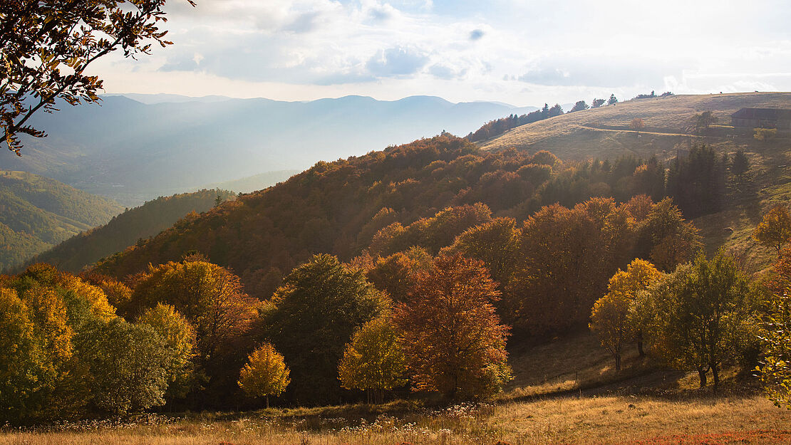 Le Montagnard Landschaft in den Vogesen Die Vogesen, bergige Heimat des Le Montagnard