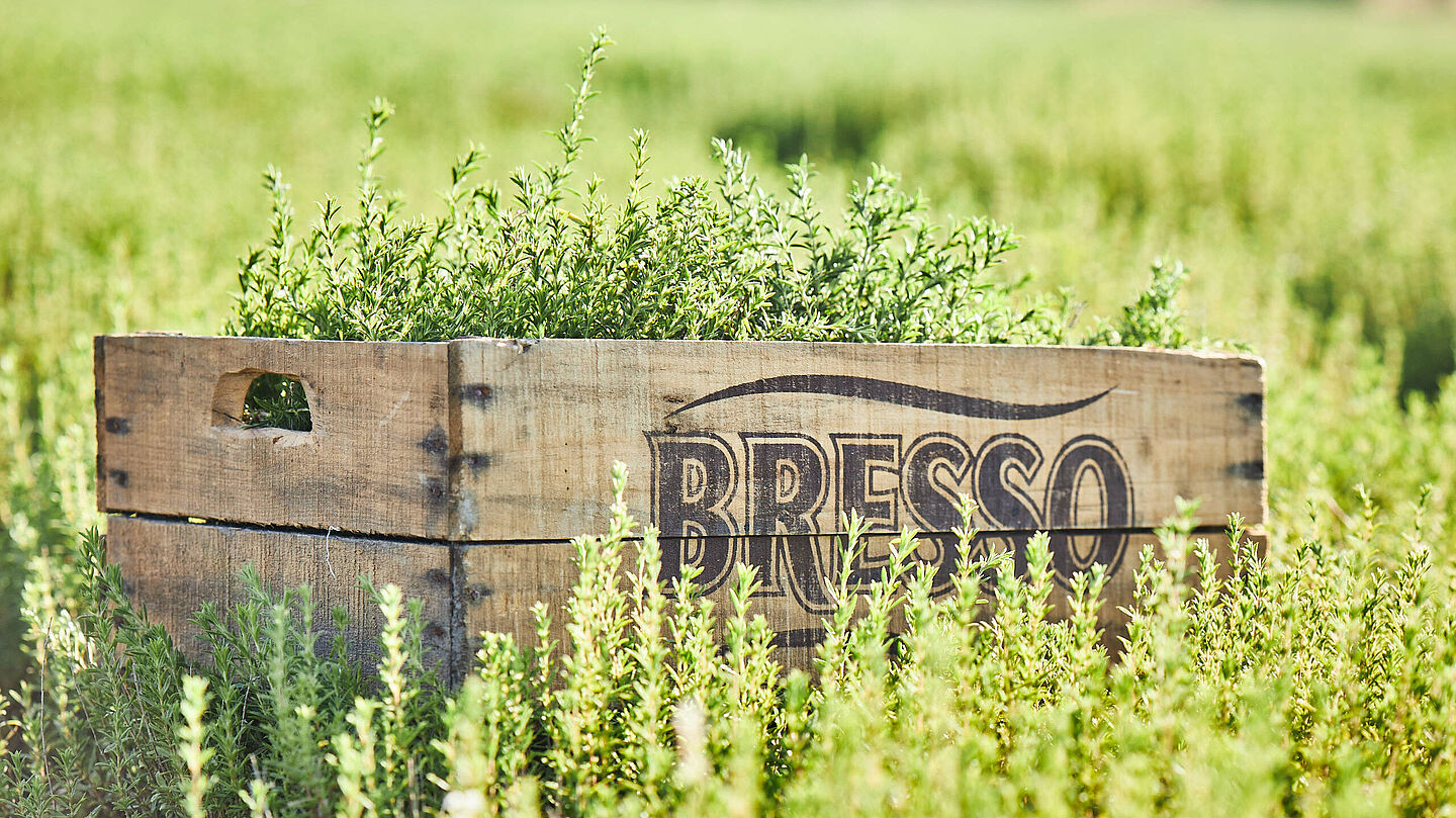 BRESSO, so schmeckt die echte Provence - kräuterkiste